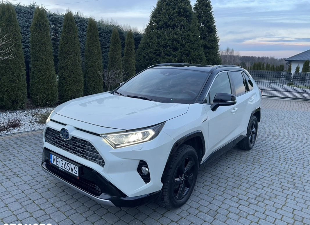 Toyota RAV4 cena 144900 przebieg: 84000, rok produkcji 2019 z Pajęczno małe 704